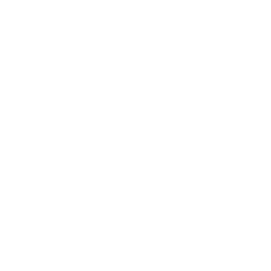 Twitter Icon White